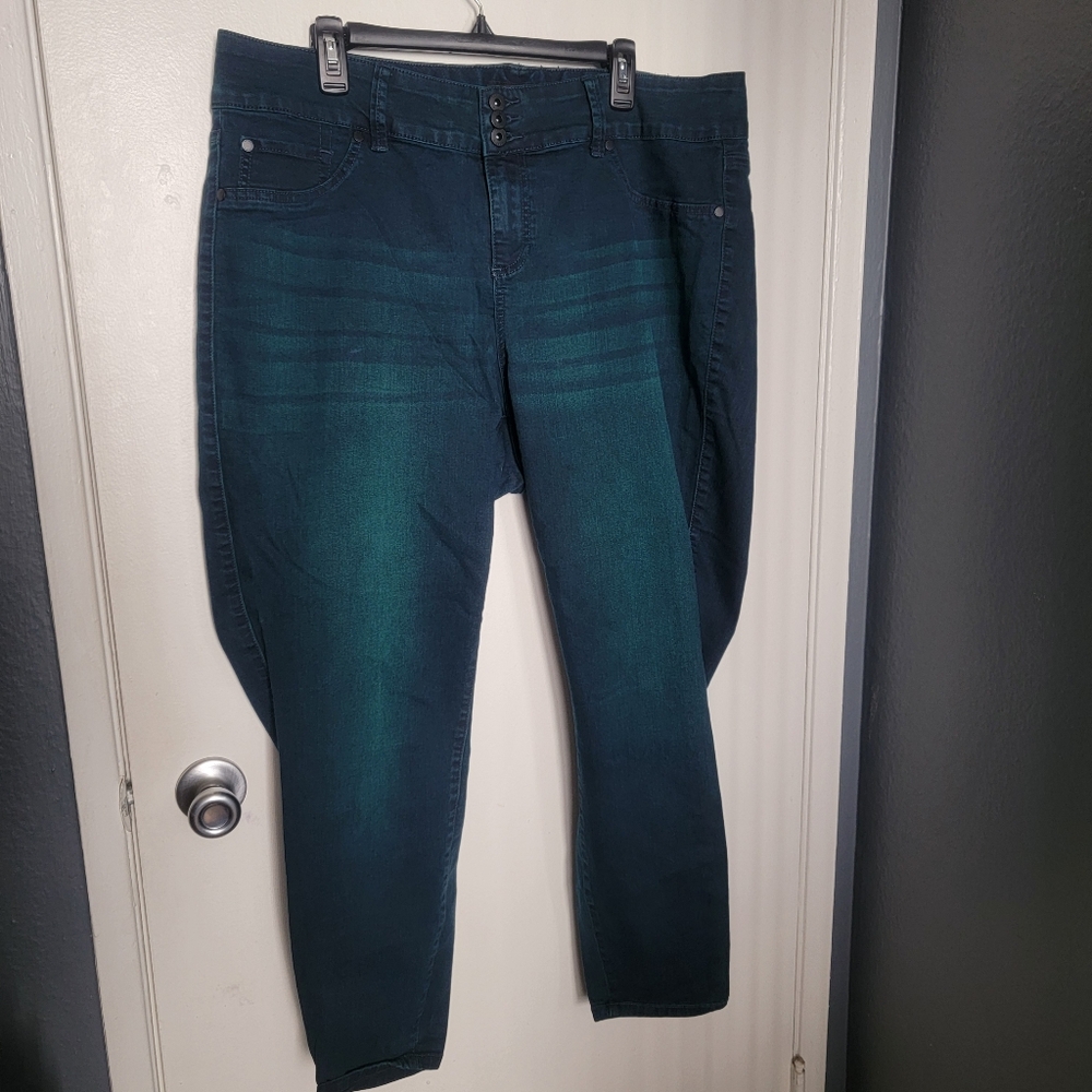Torrid Neptune Wash Jegging